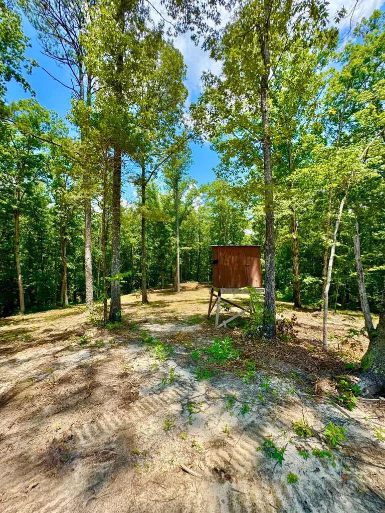 0 County Road 2 Double Springs AL 35553