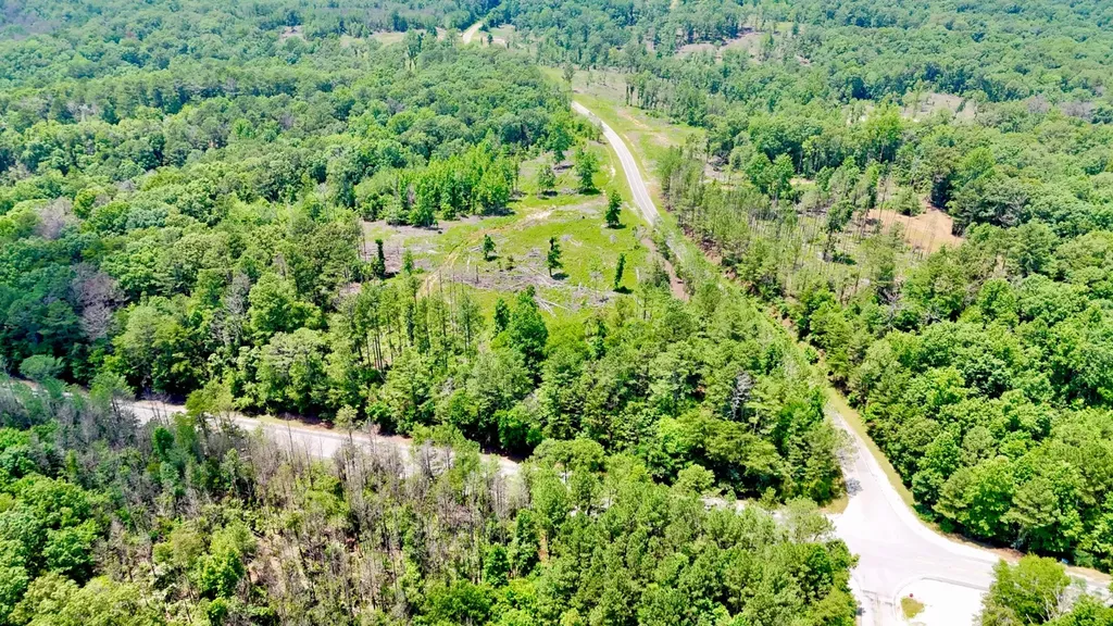 0 County Road 2 Double Springs AL 35553