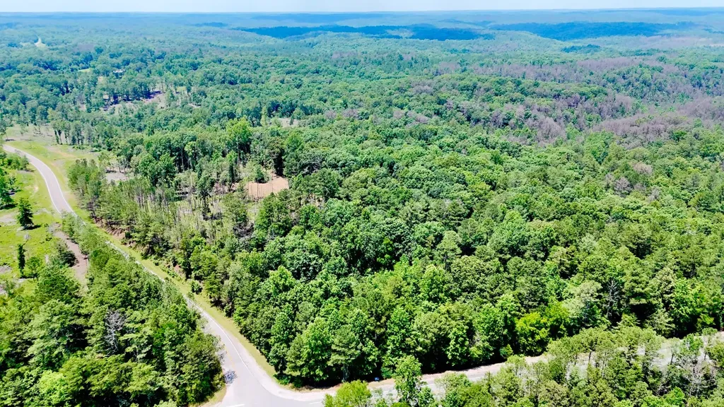 0 County Road 2 Double Springs AL 35553