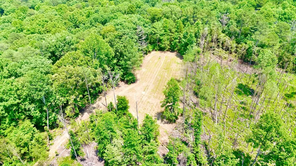 0 County Road 2 Double Springs AL 35553