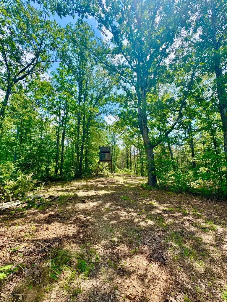 0 County Road 2 Double Springs AL 35553