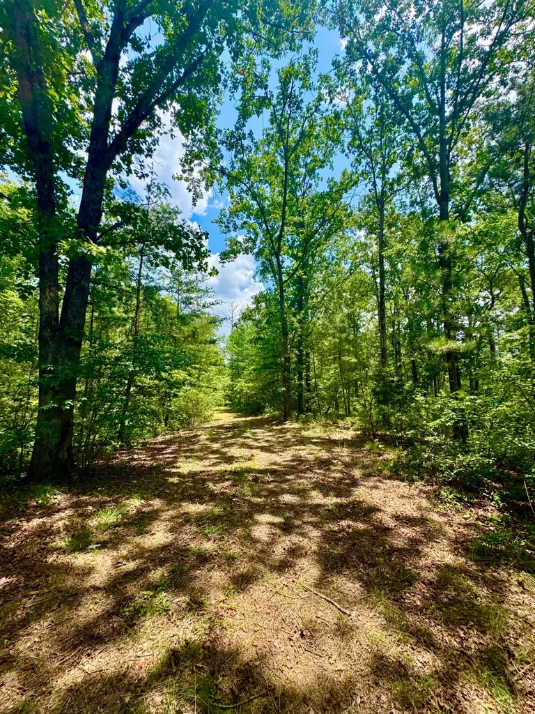 0 County Road 2 Double Springs AL 35553