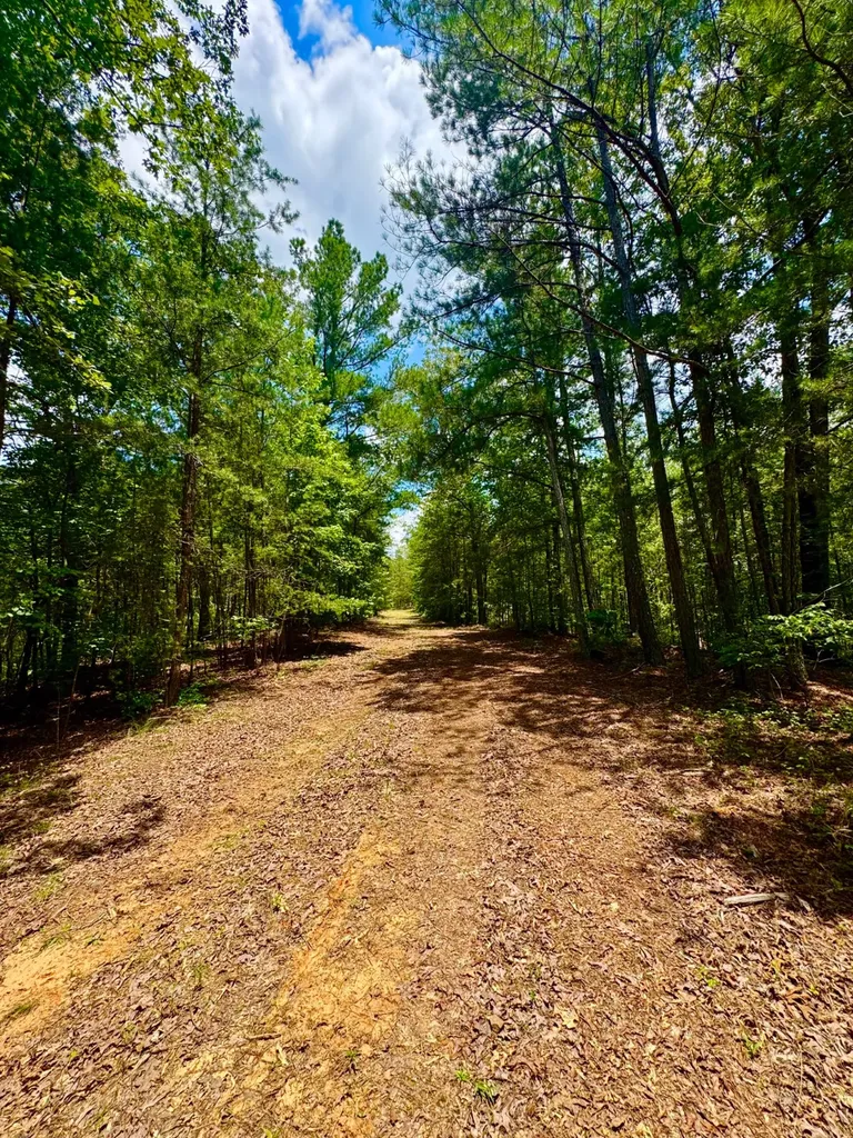0 County Road 2 Double Springs AL 35553