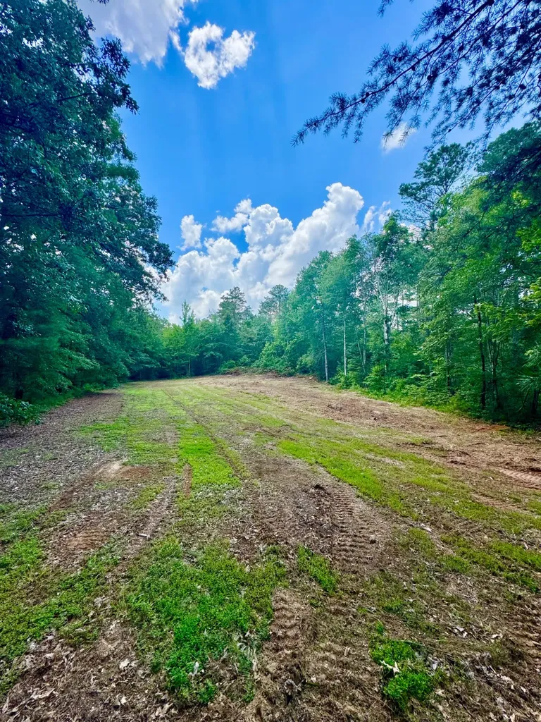 0 County Road 2 Double Springs AL 35553