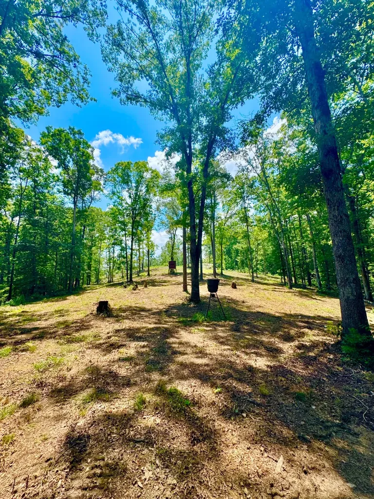 0 County Road 2 Double Springs AL 35553