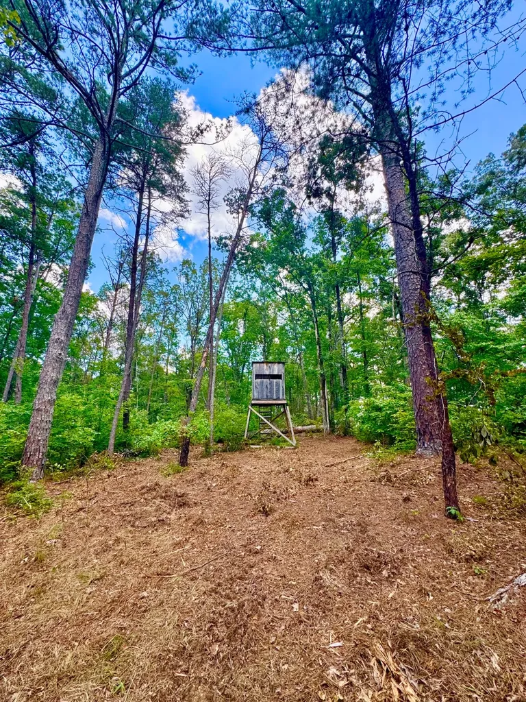 0 County Road 2 Double Springs AL 35553