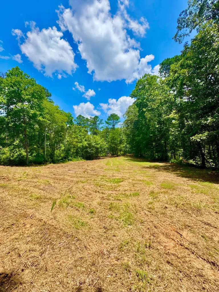 0 County Road 2 Double Springs AL 35553