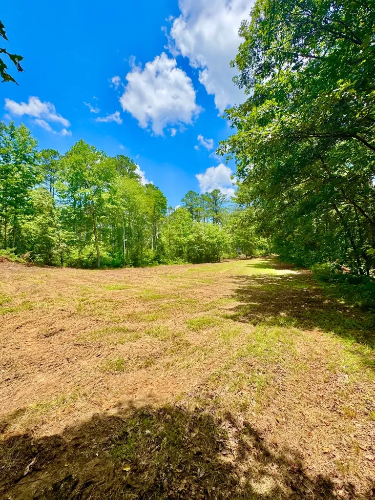0 County Road 2 Double Springs AL 35553