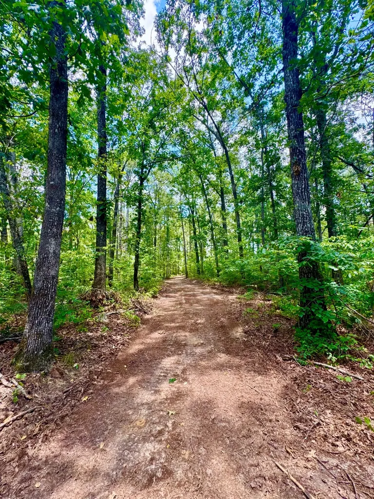 0 County Road 2 Double Springs AL 35553