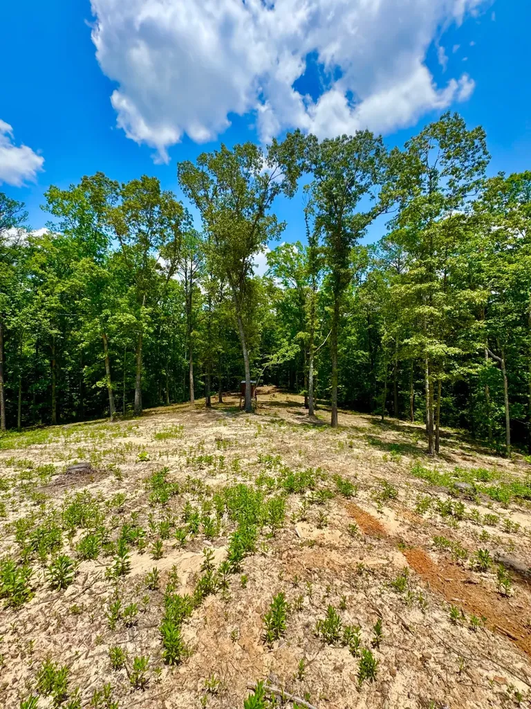 0 County Road 2 Double Springs AL 35553