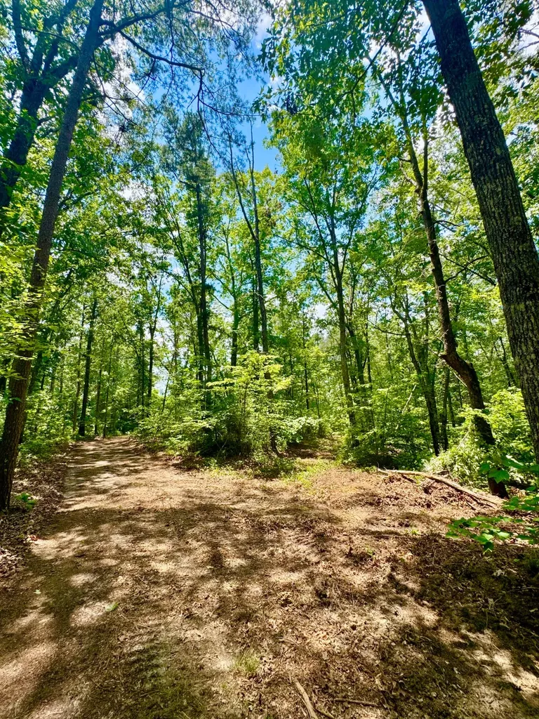 0 County Road 2 Double Springs AL 35553