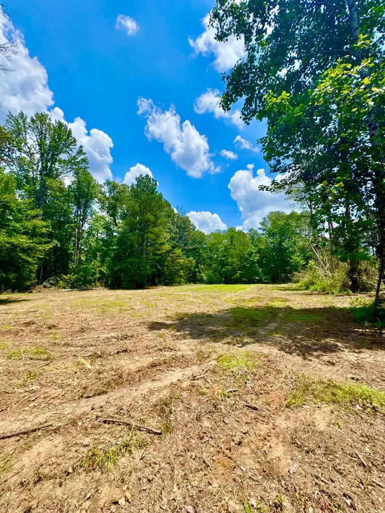 0 County Road 2 Double Springs AL 35553