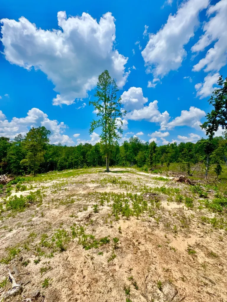 0 County Road 2 Double Springs AL 35553