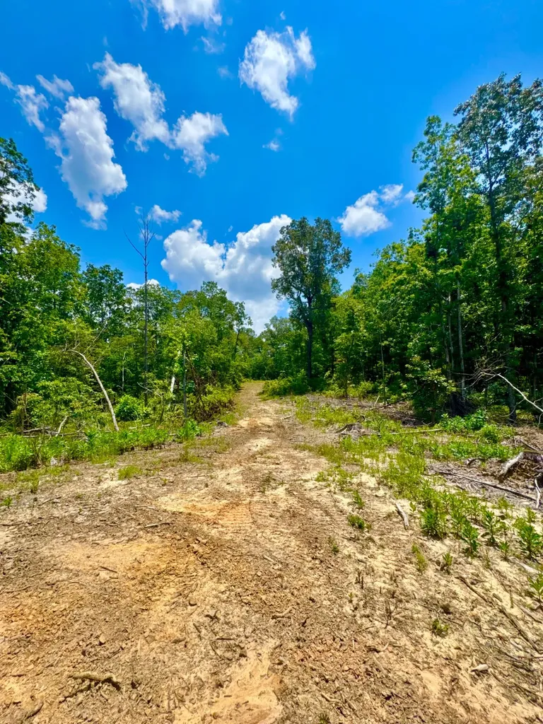 0 County Road 2 Double Springs AL 35553