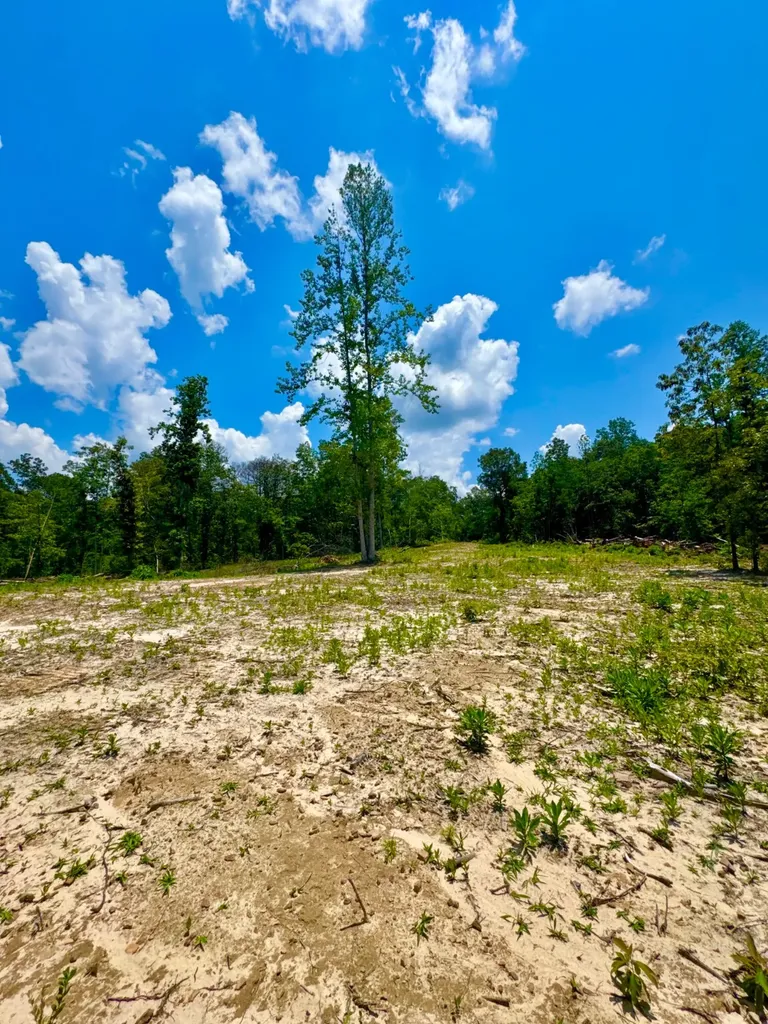 0 County Road 2 Double Springs AL 35553