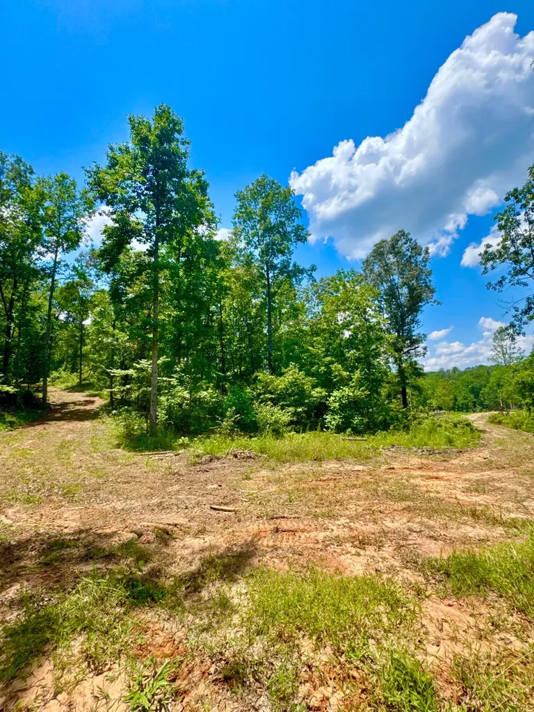 0 County Road 2 Double Springs AL 35553