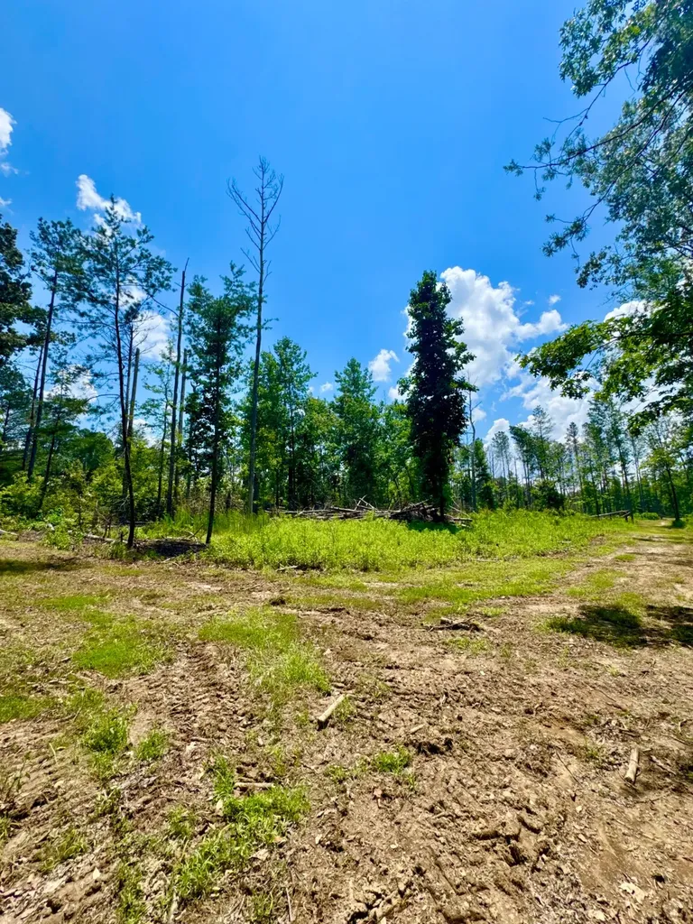 0 County Road 2 Double Springs AL 35553