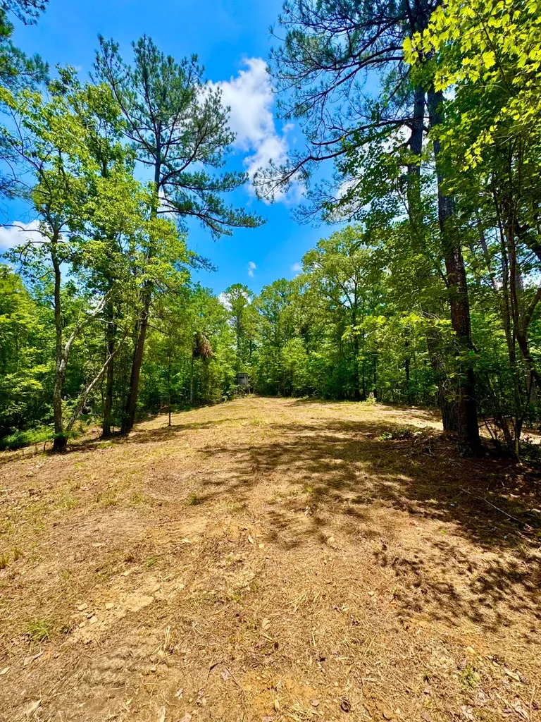 0 County Road 2 Double Springs AL 35553