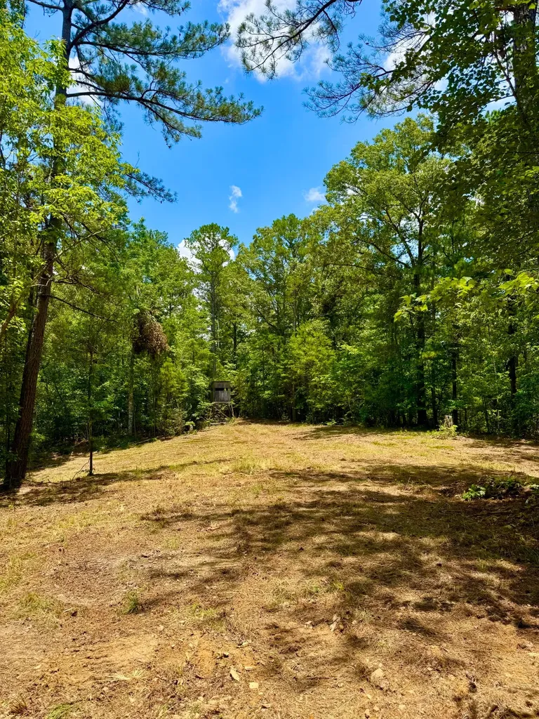 0 County Road 2 Double Springs AL 35553