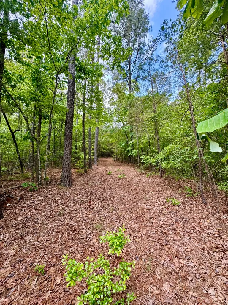 0 County Road 2 Double Springs AL 35553