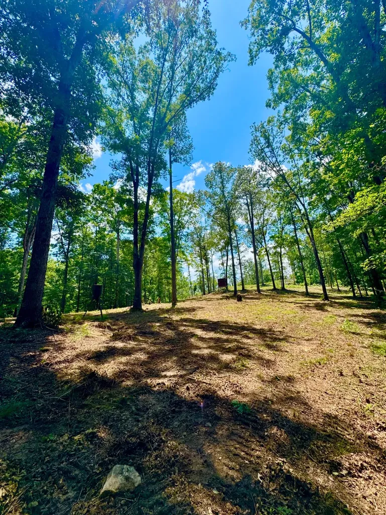 0 County Road 2 Double Springs AL 35553