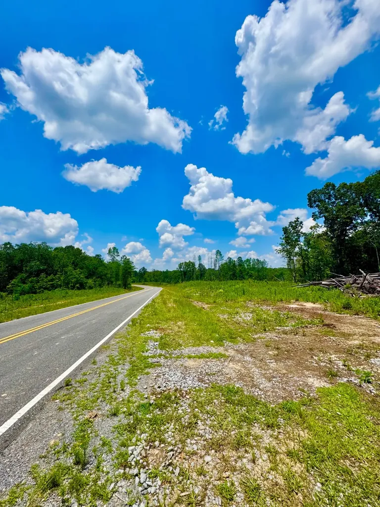 0 County Road 2 Double Springs AL 35553