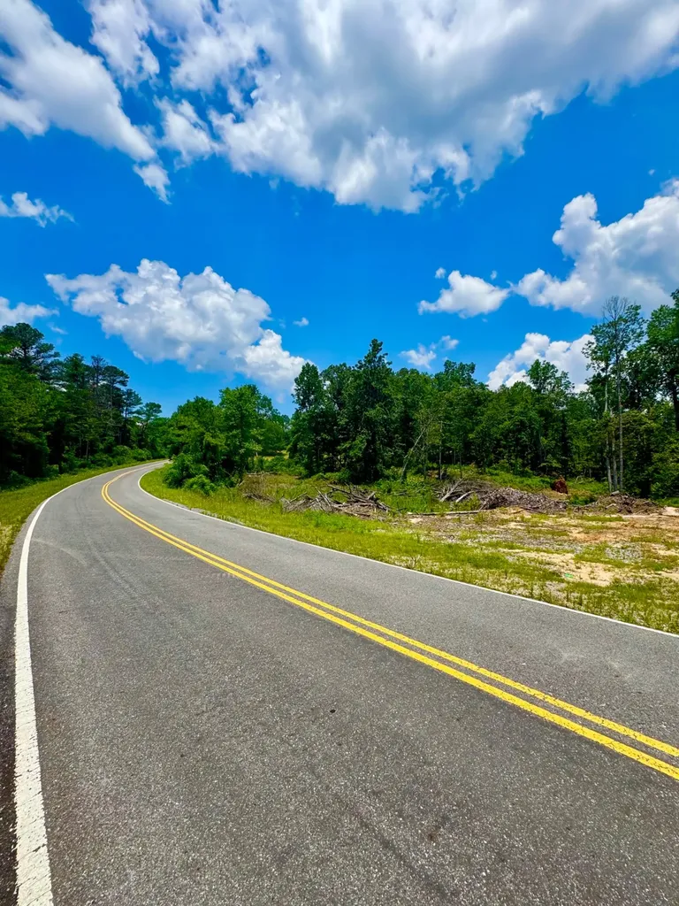 0 County Road 2 Double Springs AL 35553