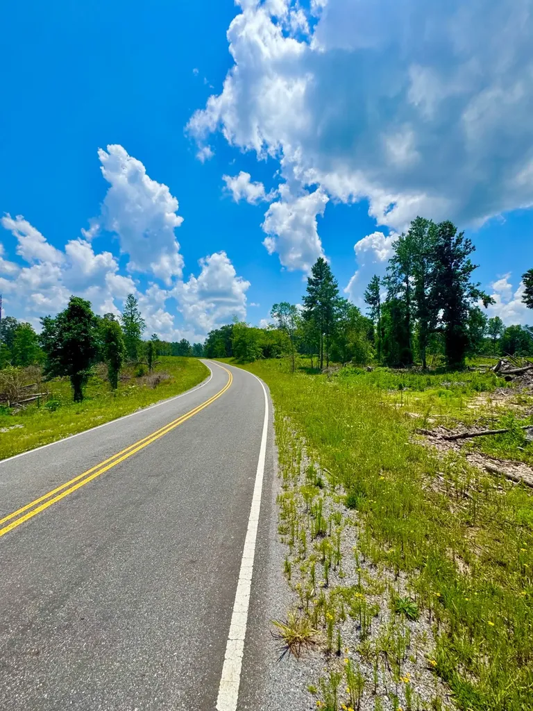 0 County Road 2 Double Springs AL 35553