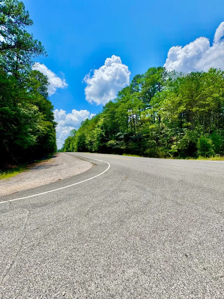 0 County Road 2 Double Springs AL 35553