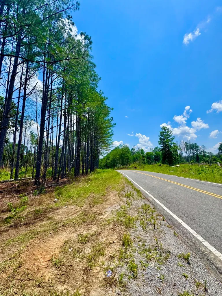 0 County Road 2 Double Springs AL 35553