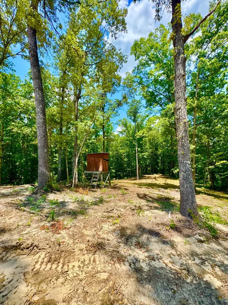 0 County Road 2 Double Springs AL 35553