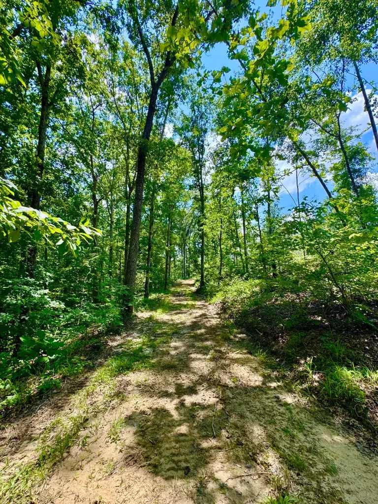 0 County Road 2 Double Springs AL 35553