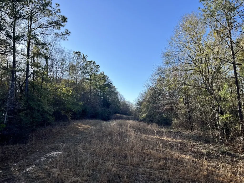 County Road 39 Selma AL 36701