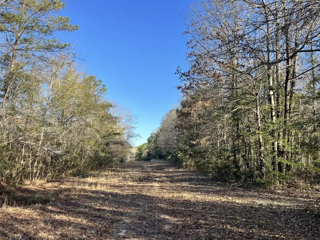 County Road 39 Selma AL 36701