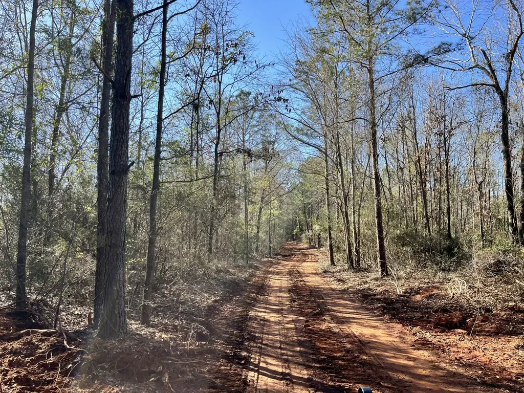 County Road 39 Selma AL 36701