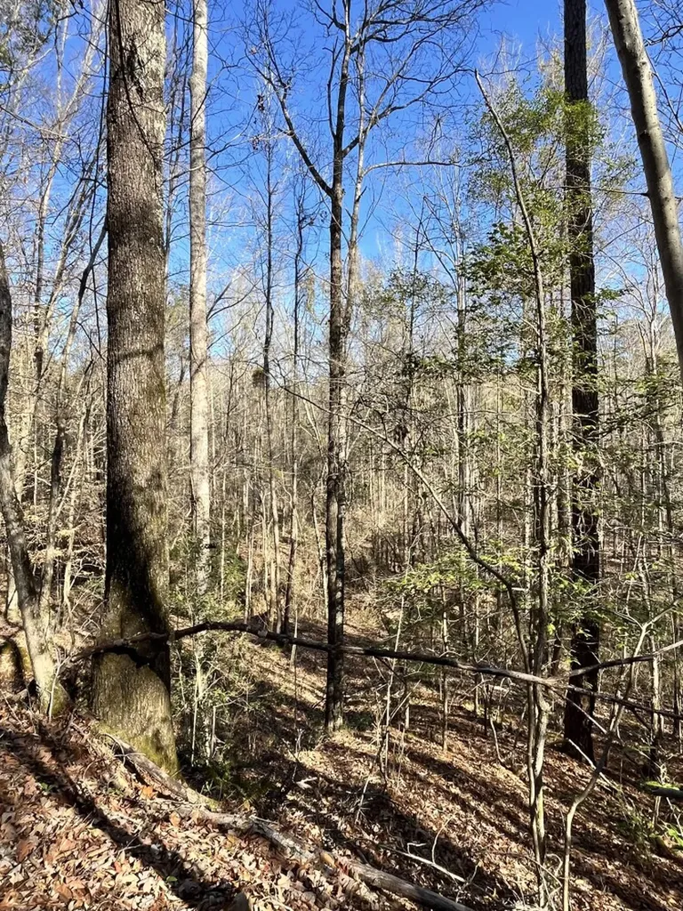 County Road 39 Selma AL 36701