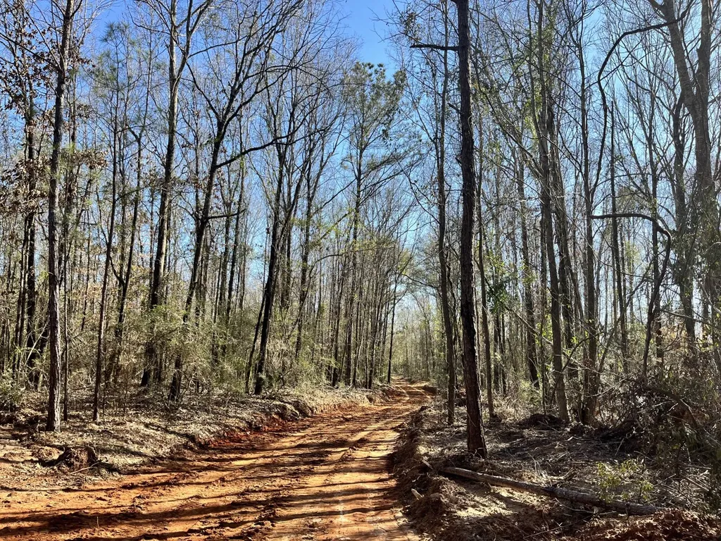 County Road 39 Selma AL 36701