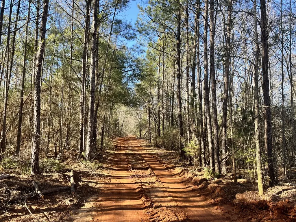 County Road 39 Selma AL 36701