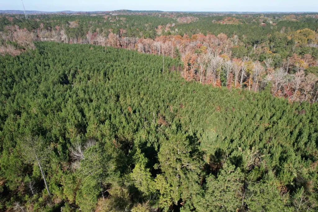 1444 Highway 165 Ft. Mitchell AL 36856