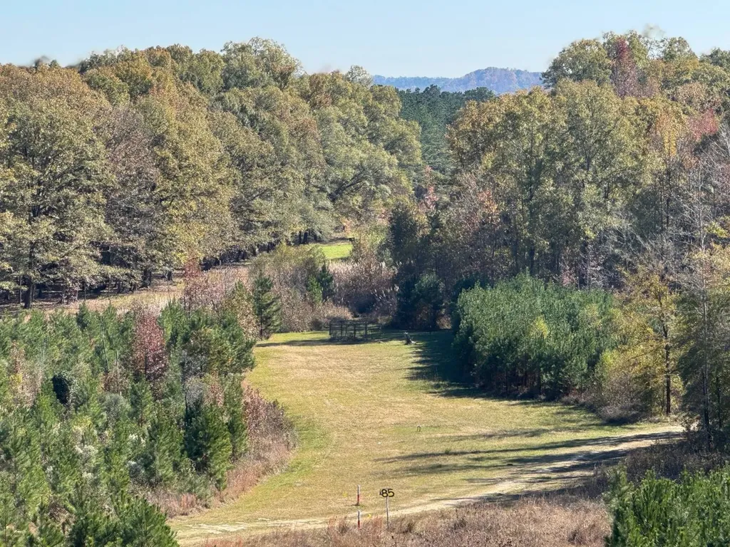 1444 Highway 165 Ft. Mitchell AL 36856