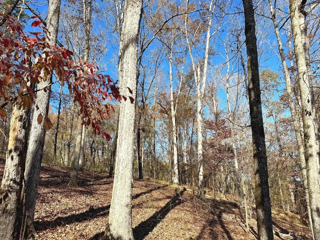 1444 Highway 165 Ft. Mitchell AL 36856