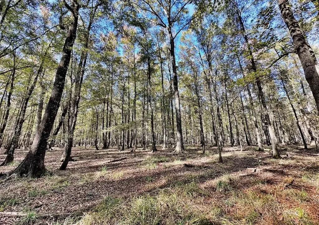 1444 Highway 165 Ft. Mitchell AL 36856