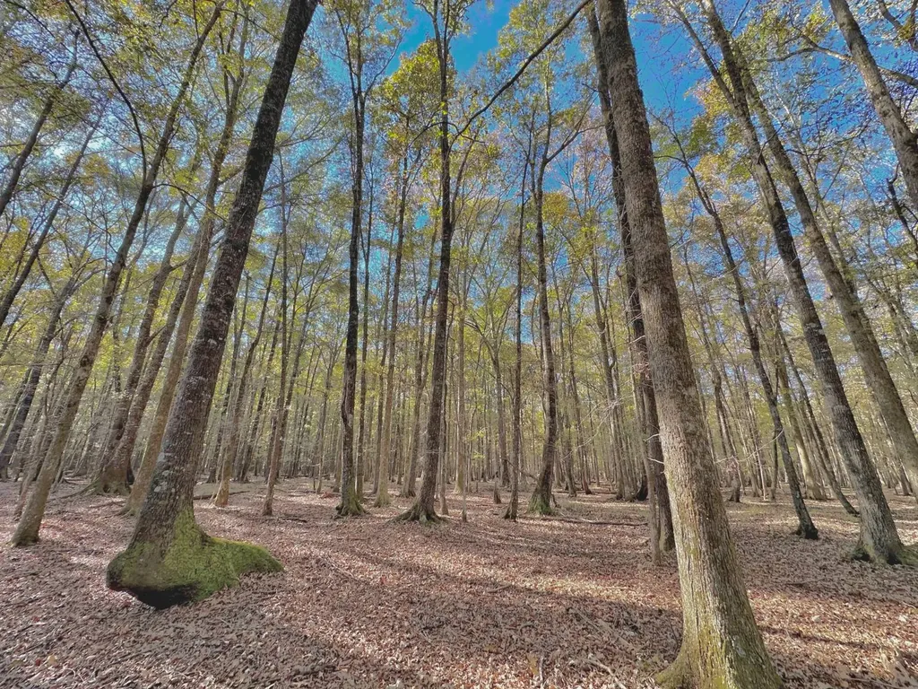1444 Highway 165 Ft. Mitchell AL 36856