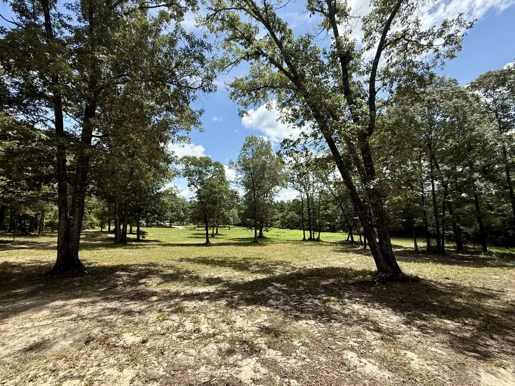 5573 County Road 1 Chatom AL 36518