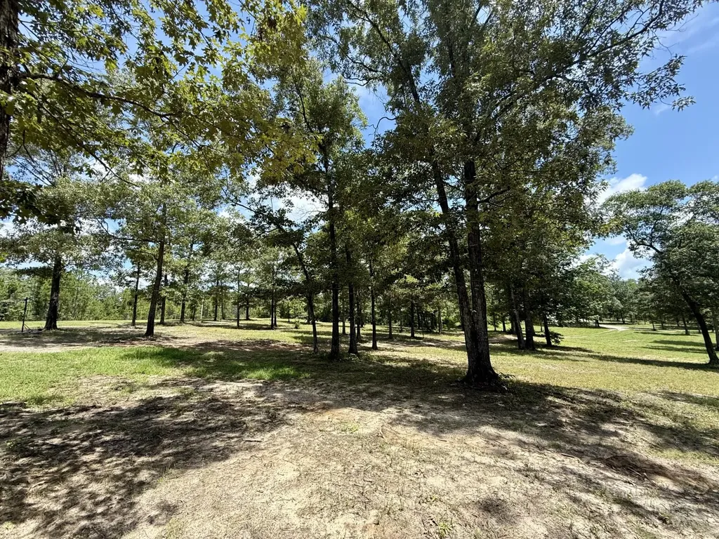 5573 County Road 1 Chatom AL 36518