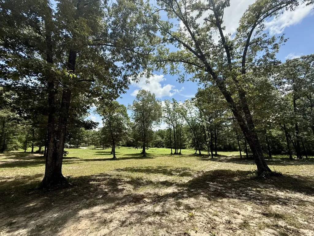 5573 County Road 1 Chatom AL 36518