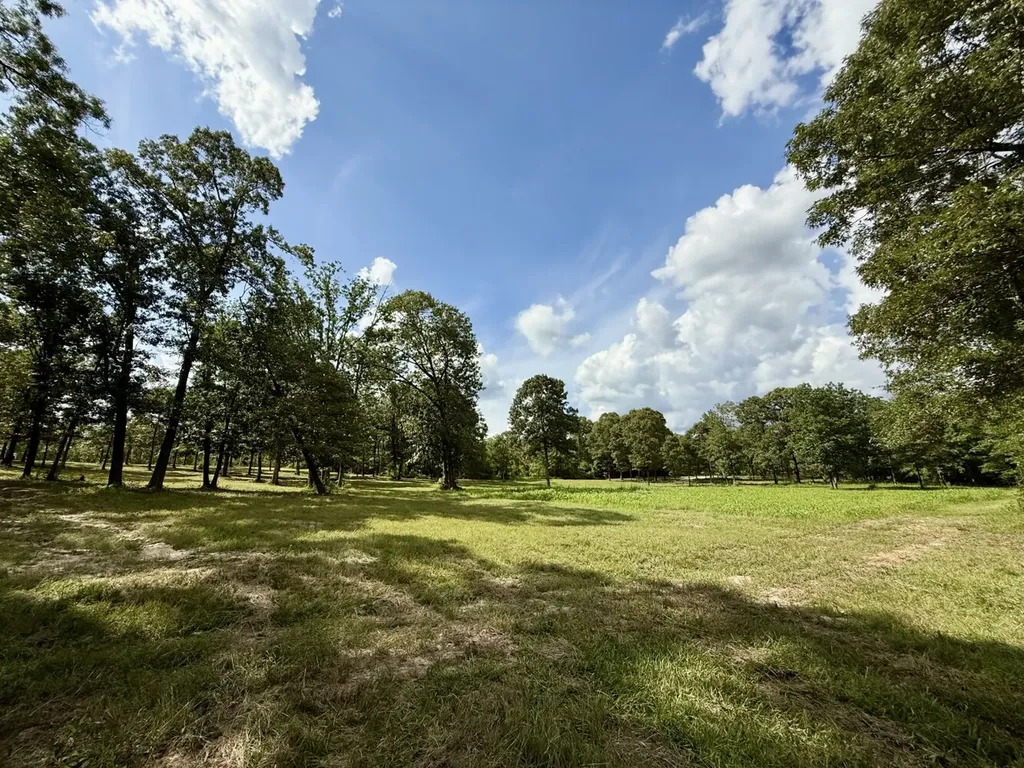 5573 County Road 1 Chatom AL 36518