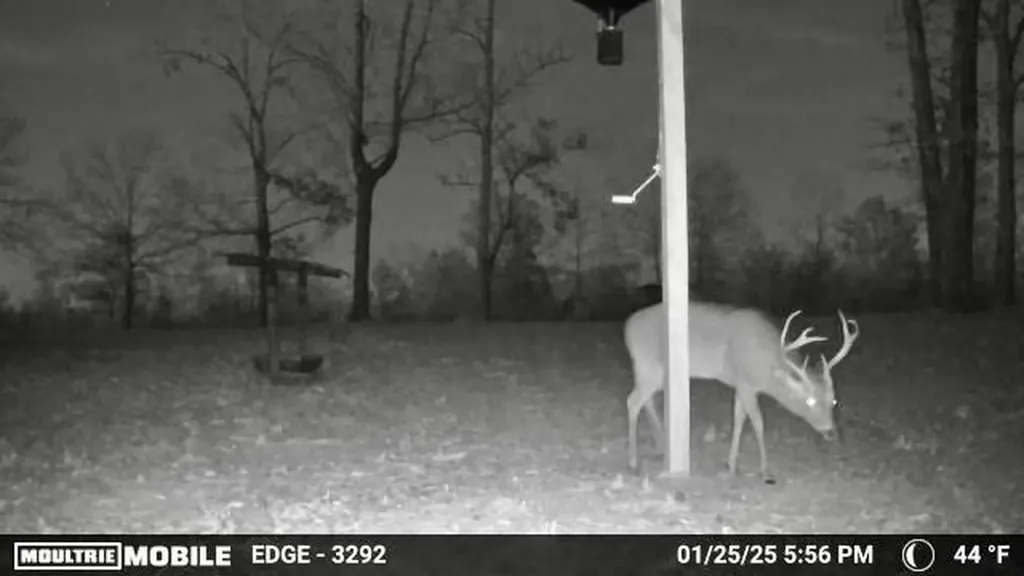 5573 County Road 1 Chatom AL 36518