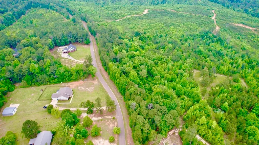 1141 Whitehead Lane Jackson AL 36545