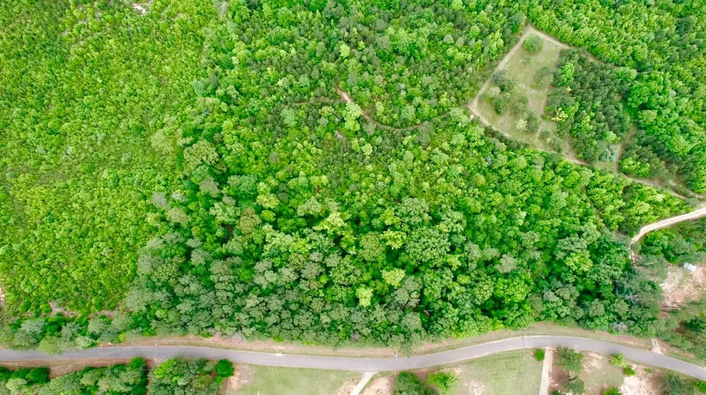 1141 Whitehead Lane Jackson AL 36545